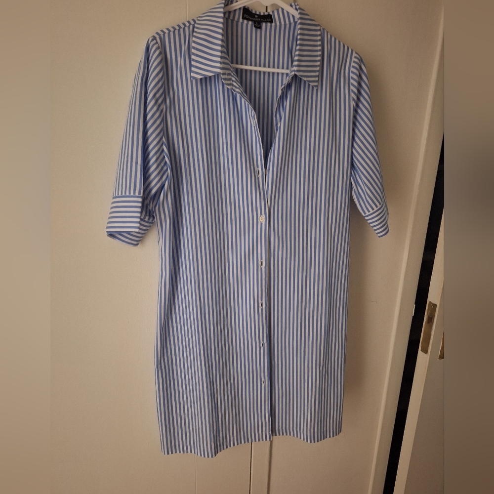 Tuckernuck button down shirt dress